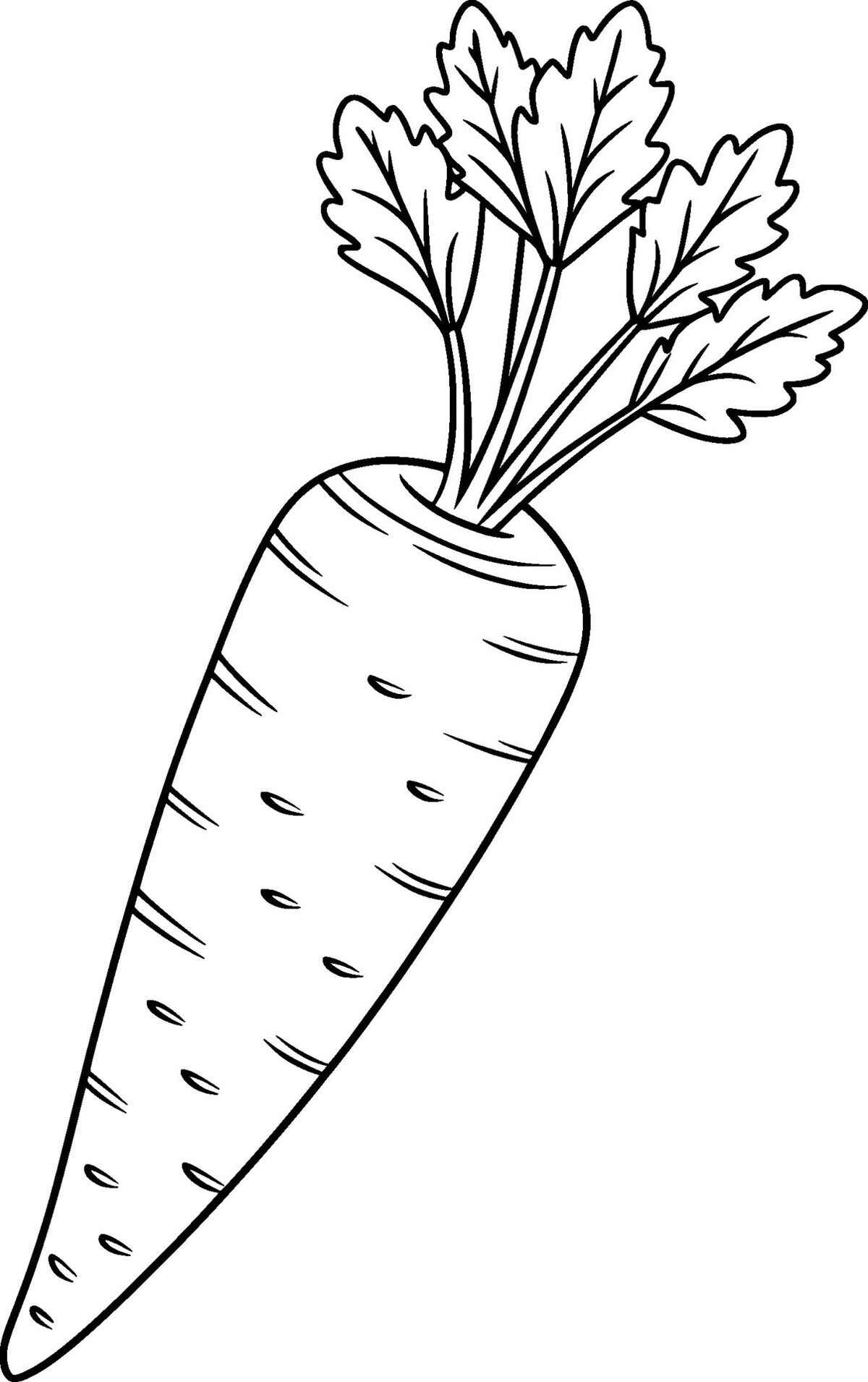 Karotte Ausmalbilder 061