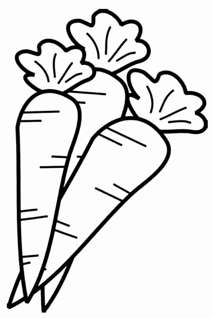 Karotte Ausmalbilder 120
