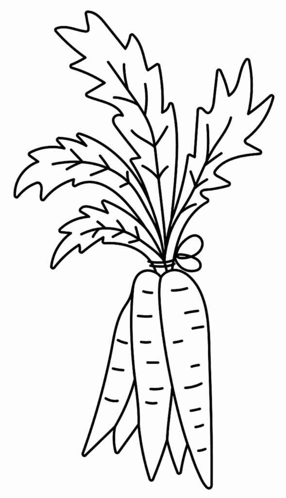 Karotte Ausmalbilder 198