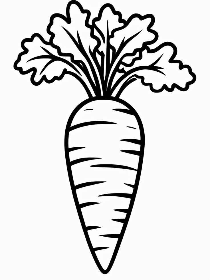 Karotte Ausmalbilder 284