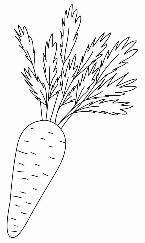 Karotte Ausmalbilder 807