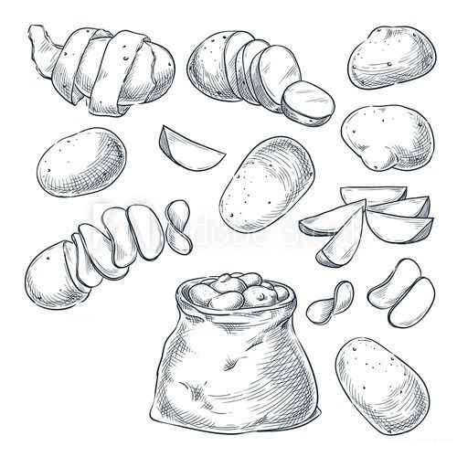 Kartoffel Ausmalbilder 116