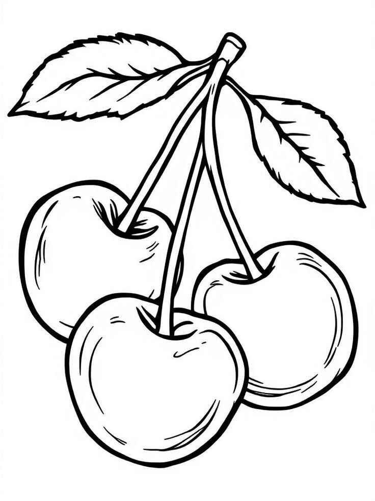 Kirsche Ausmalbilder 304