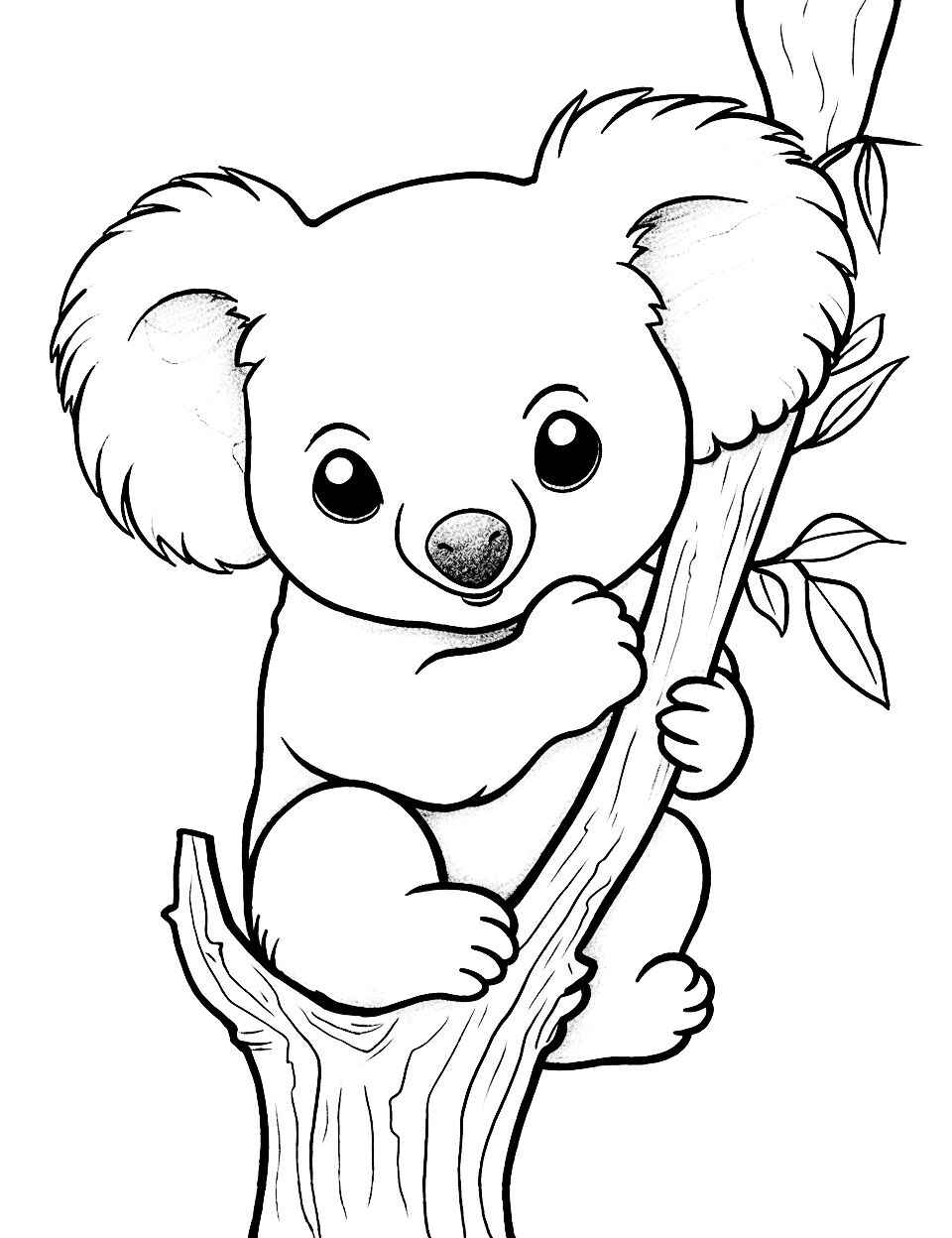 Koala Ausmalbilder 061