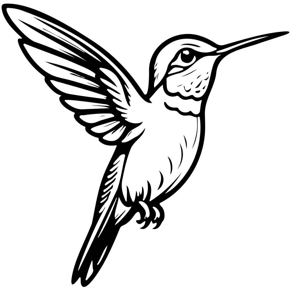 Kolibri Ausmalbilder 615