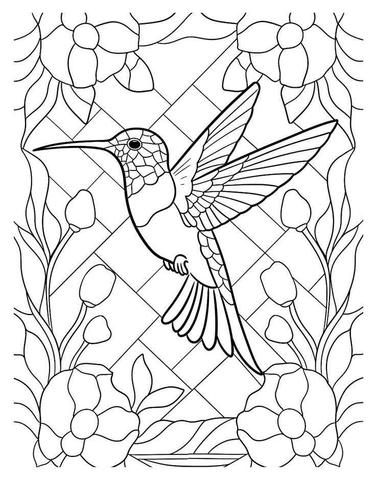 Kolibri Ausmalbilder 666