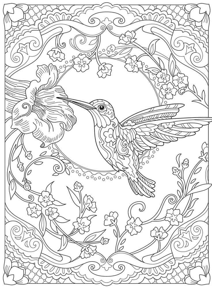 Kolibri Ausmalbilder 817