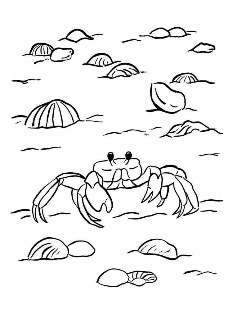 Krabbe Ausmalbilder 322