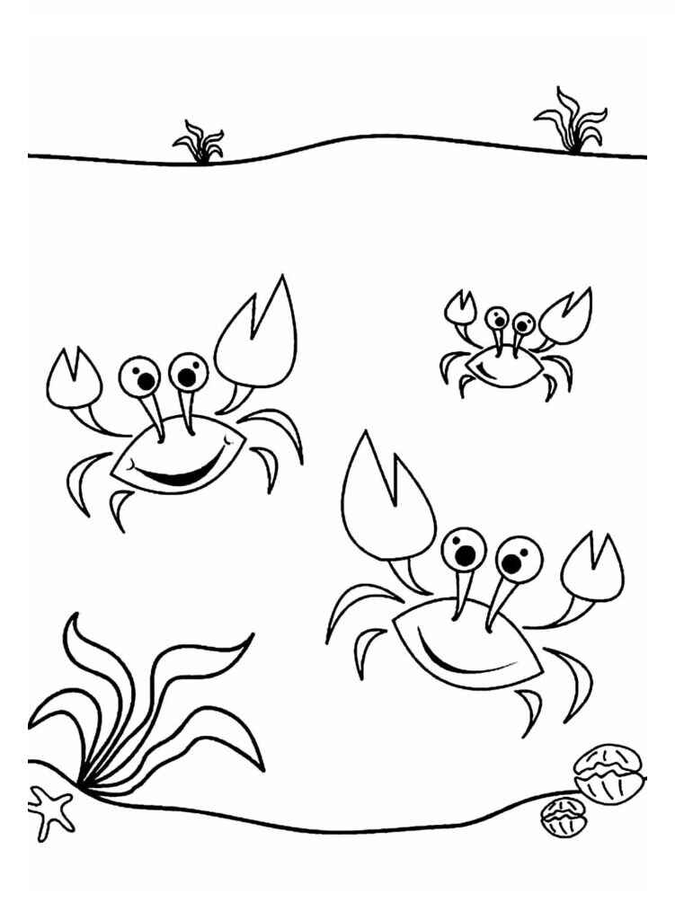 Krabbe Ausmalbilder 355