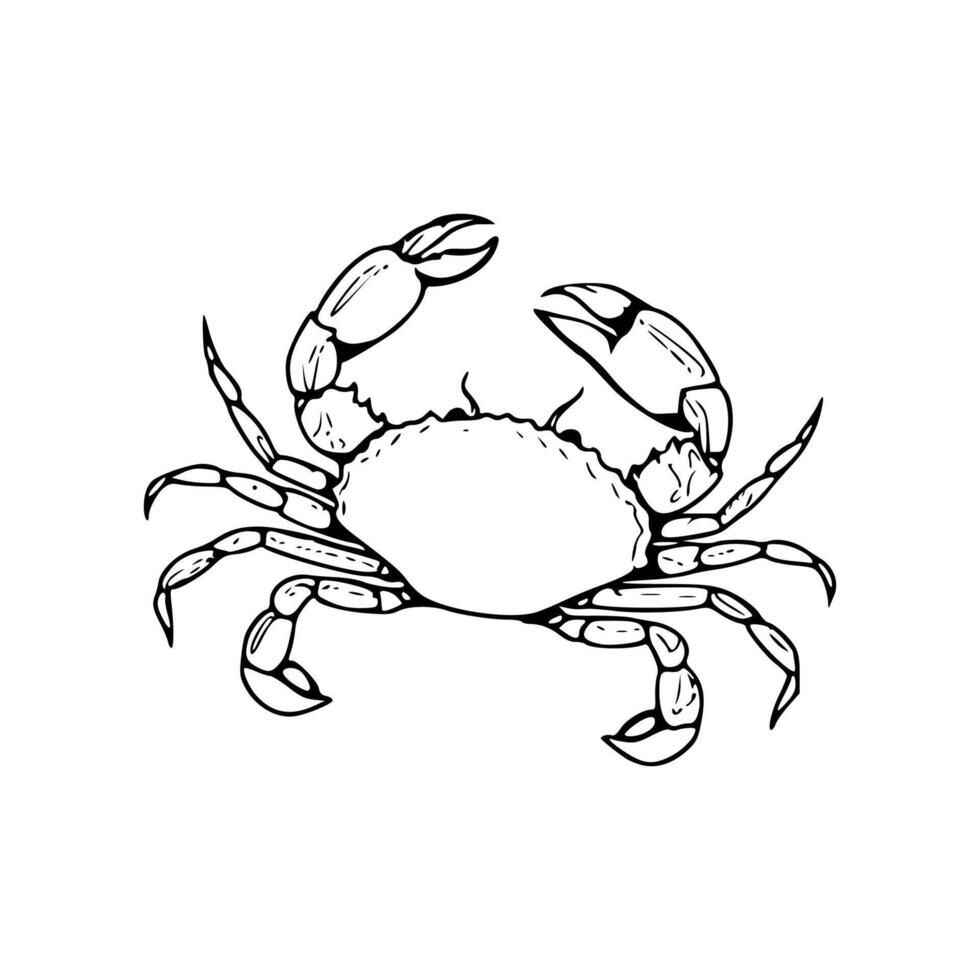 Krabbe Ausmalbilder 425