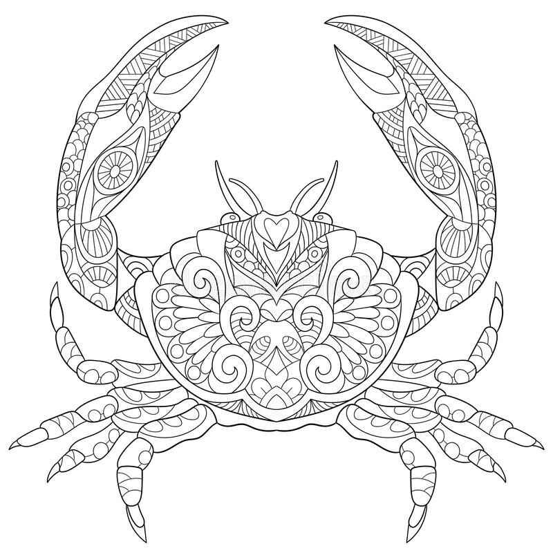 Krabbe Ausmalbilder 494