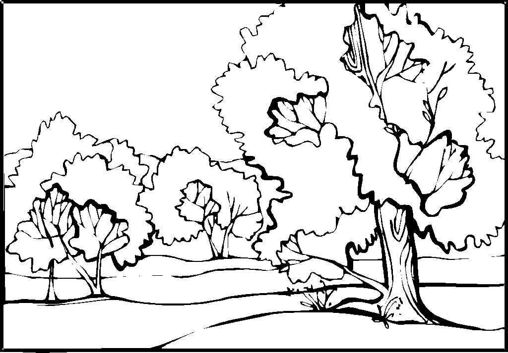 Landschaften Ausmalbilder 649