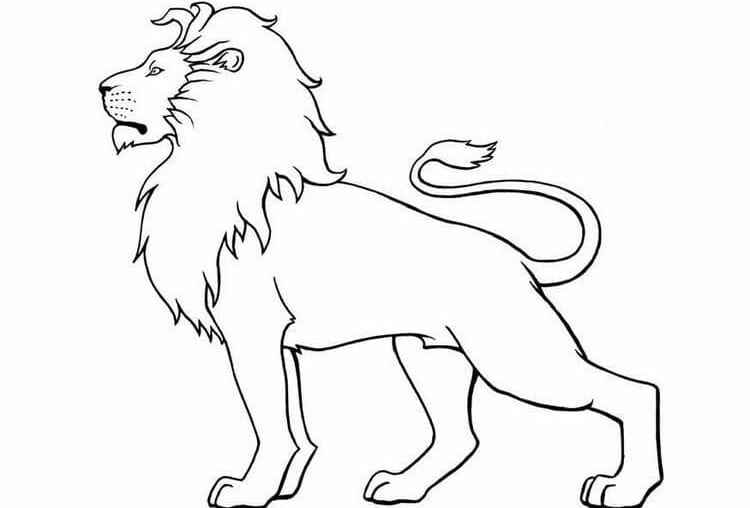 Löwe Ausmalbilder 139