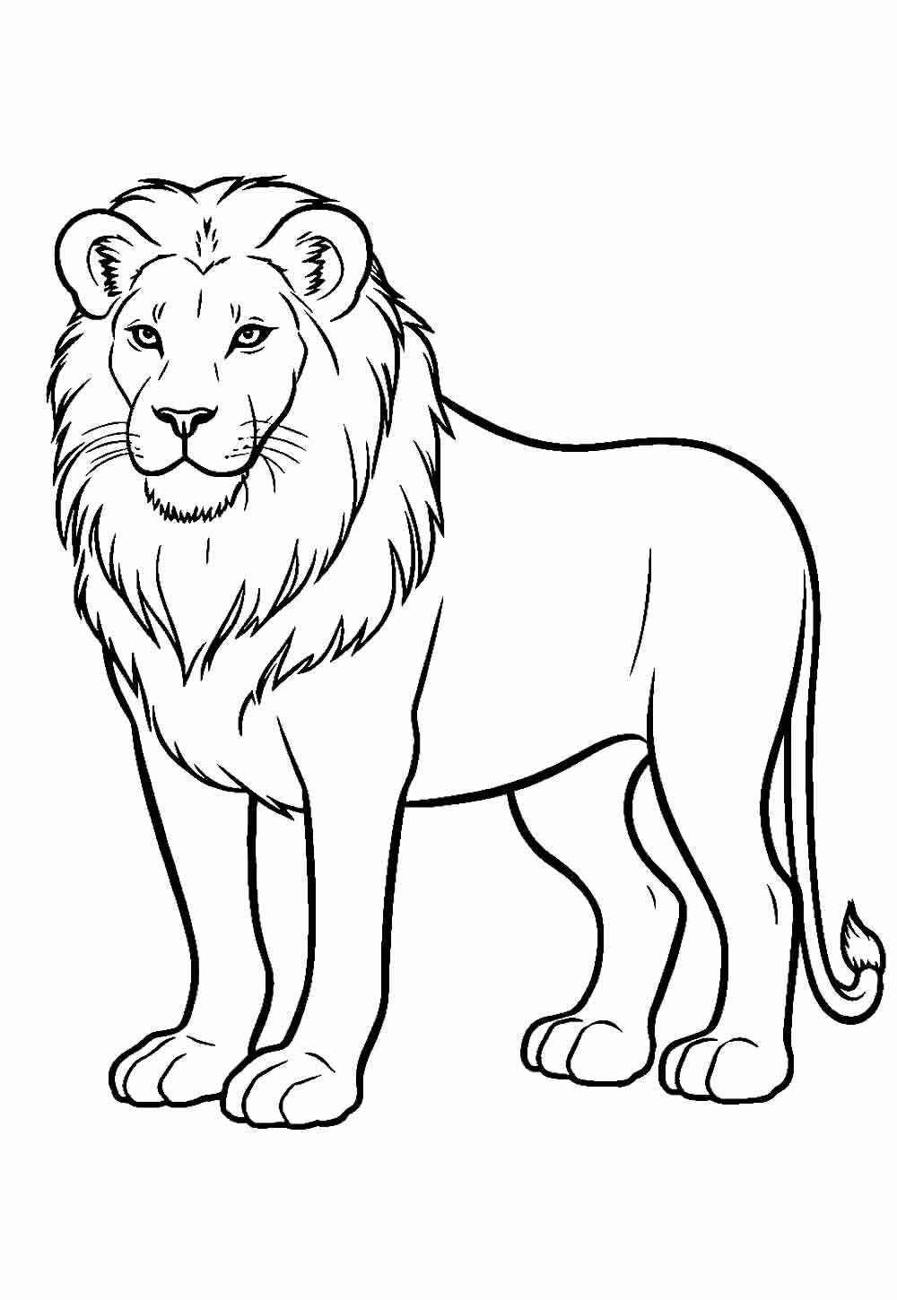 Löwe Ausmalbilder 348