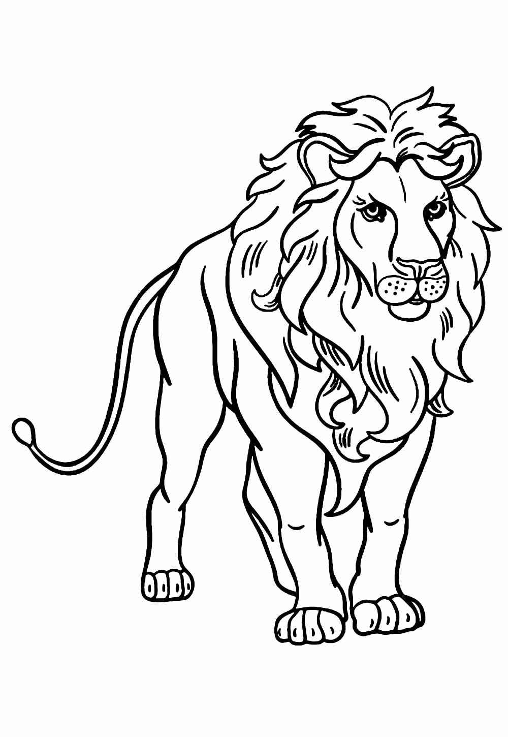 Löwe Ausmalbilder 412