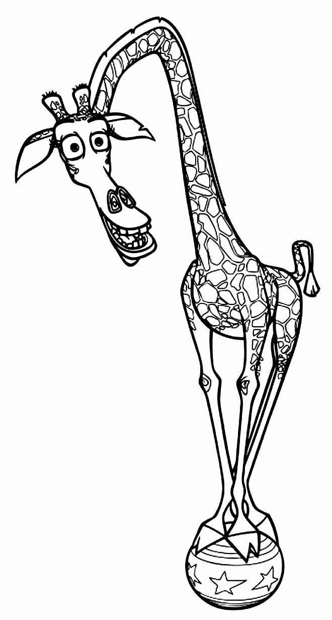 Madagaskar Ausmalbilder 126