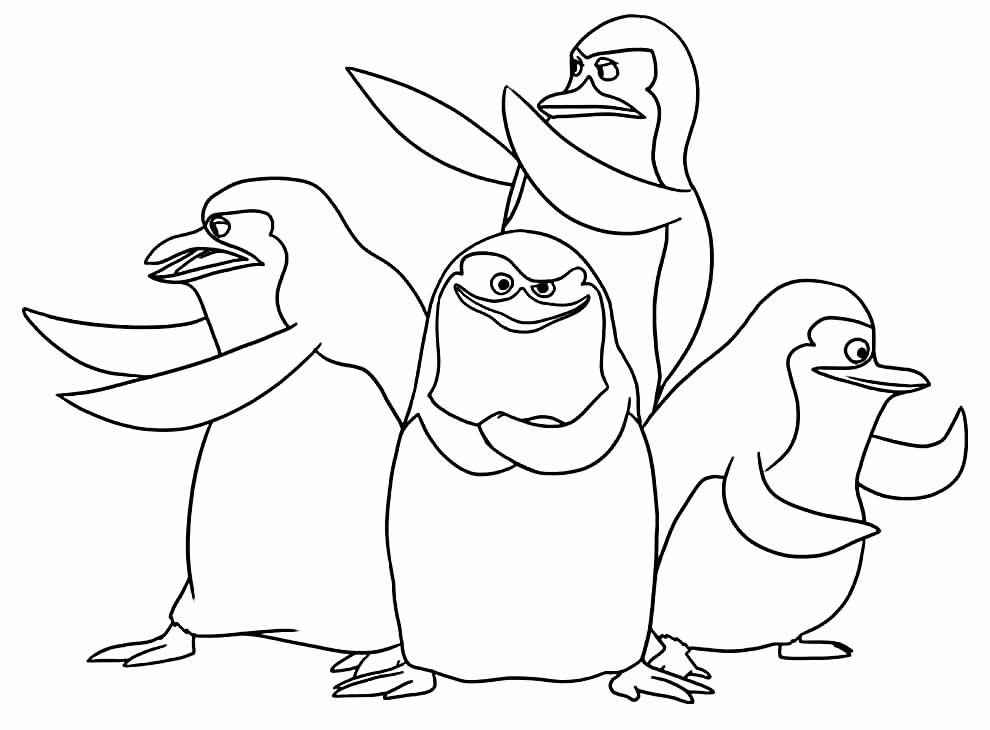 Madagaskar Ausmalbilder 643