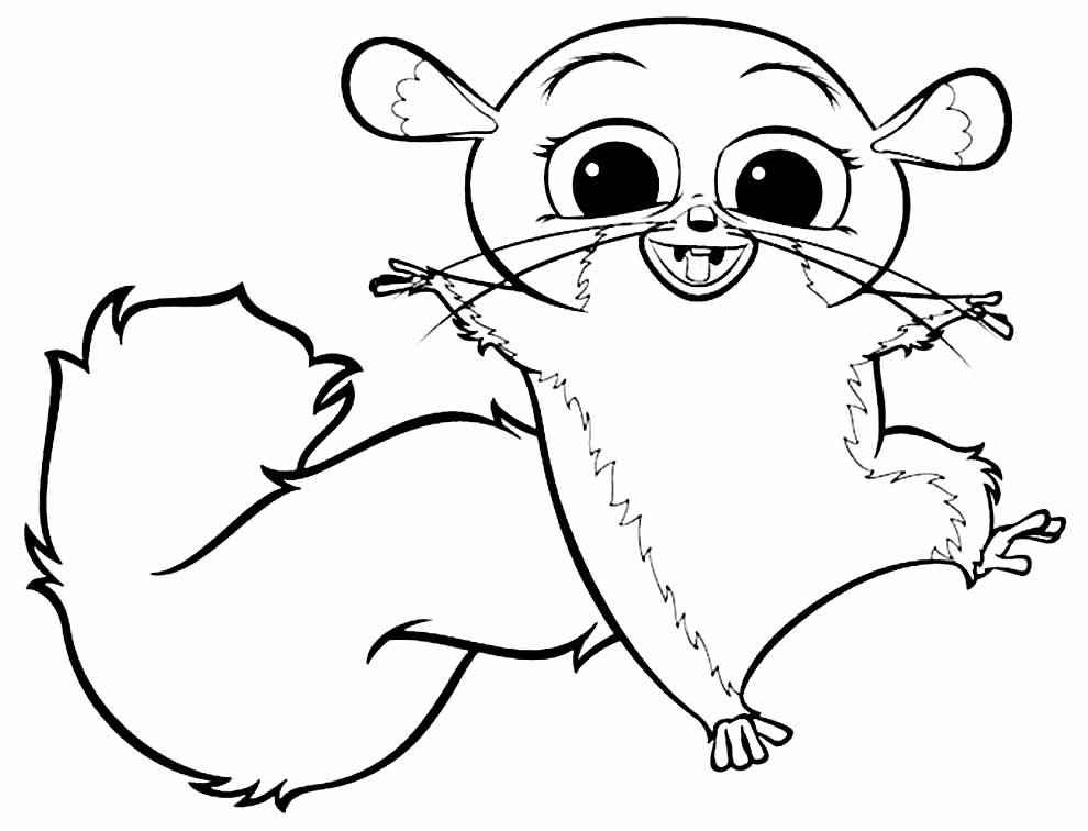 Madagaskar Ausmalbilder 703