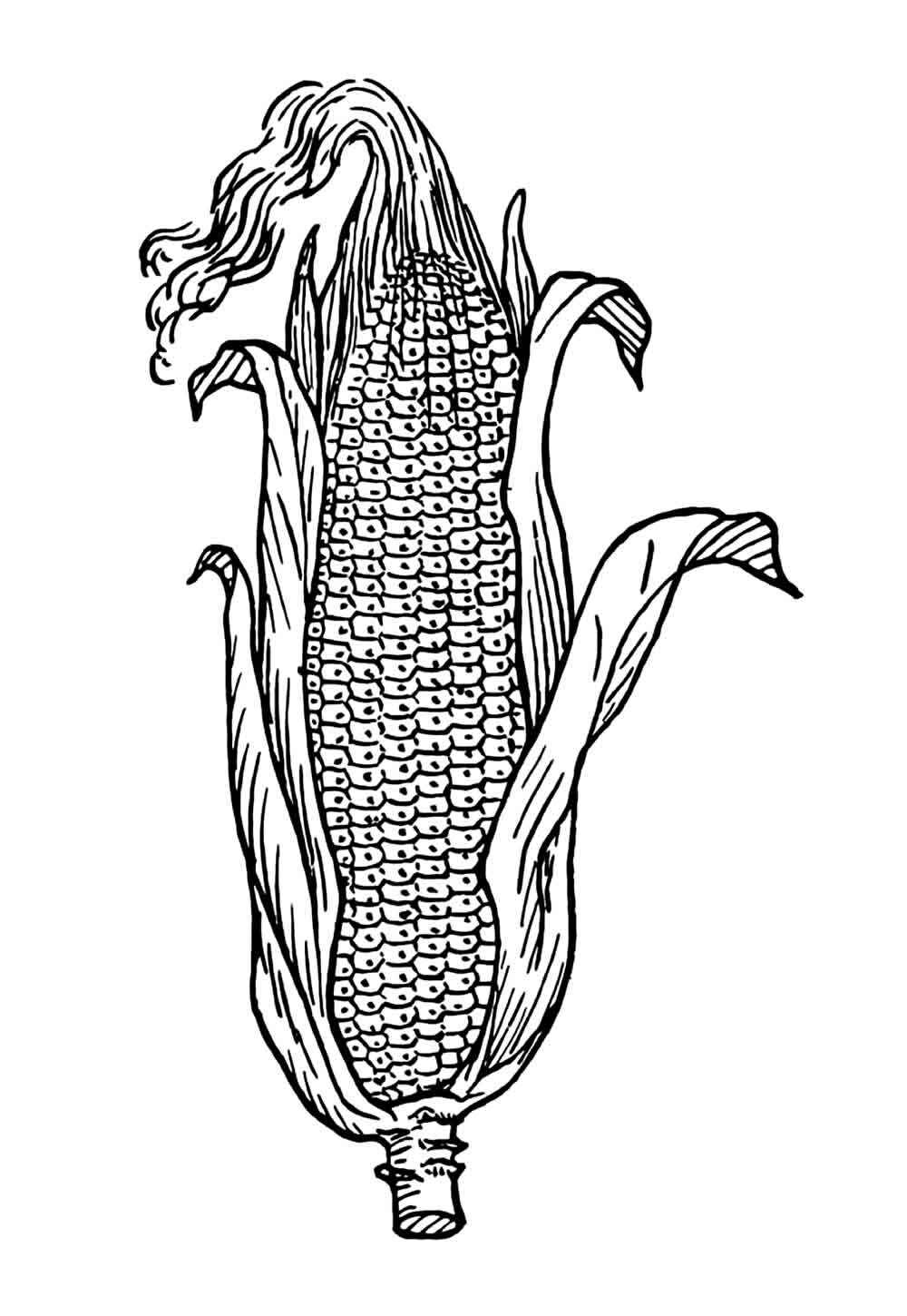 Mais Ausmalbilder 049