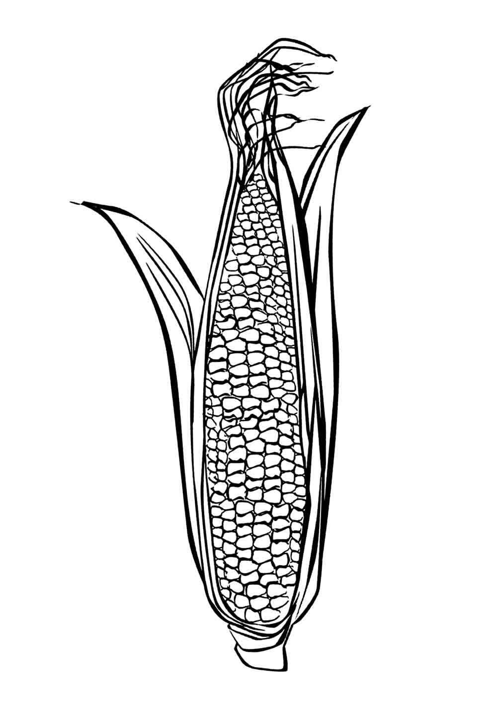 Mais Ausmalbilder 467