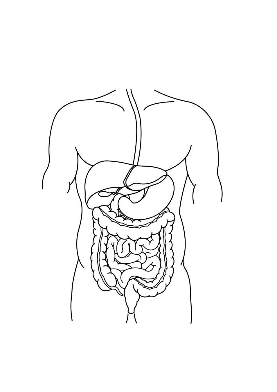 Menschlicher Körper Ausmalbilder 008
