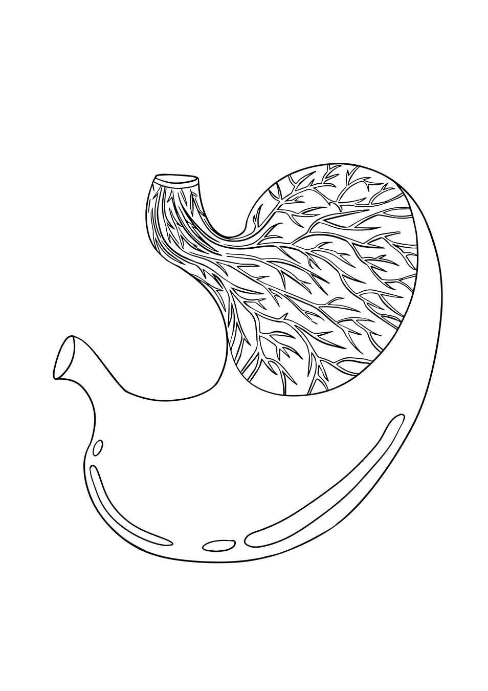Menschlicher Körper Ausmalbilder 287