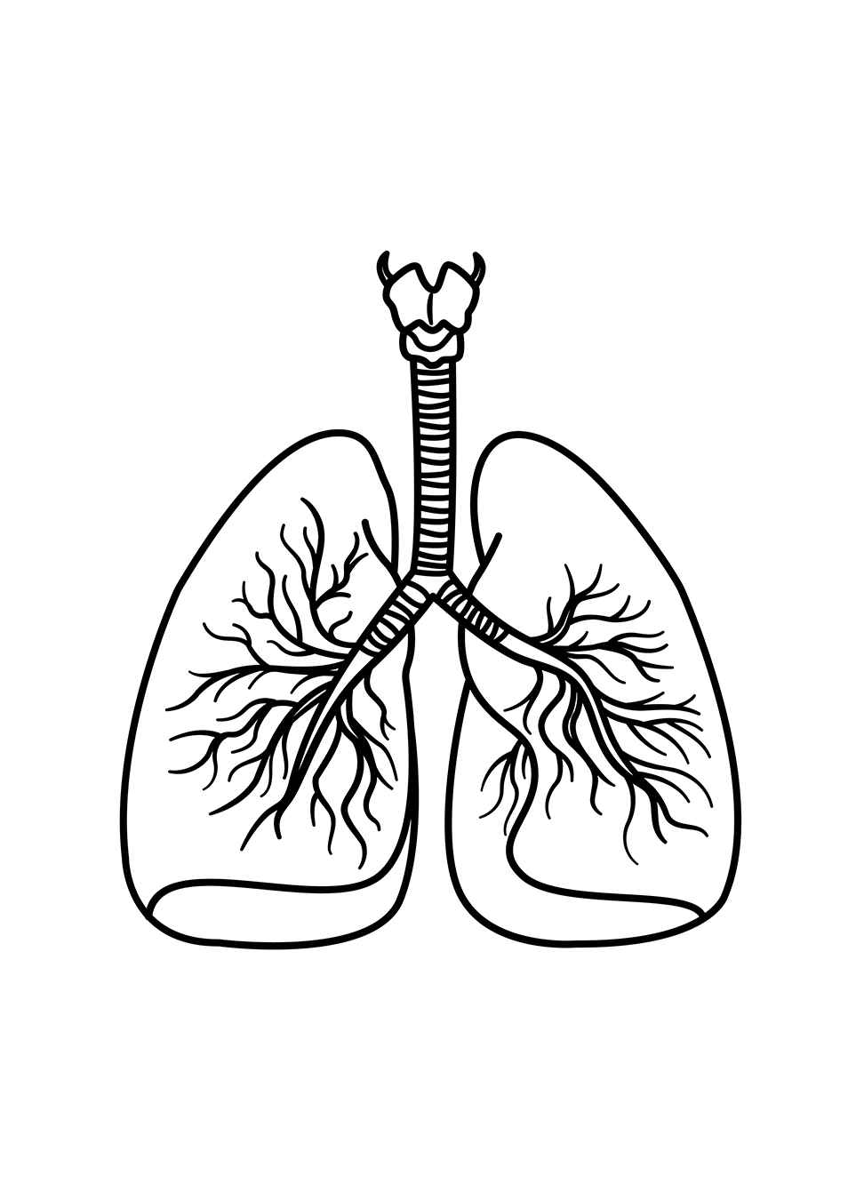 Menschlicher Körper Ausmalbilder 358