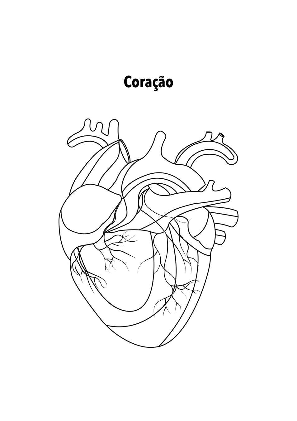 Menschlicher Körper Ausmalbilder 398