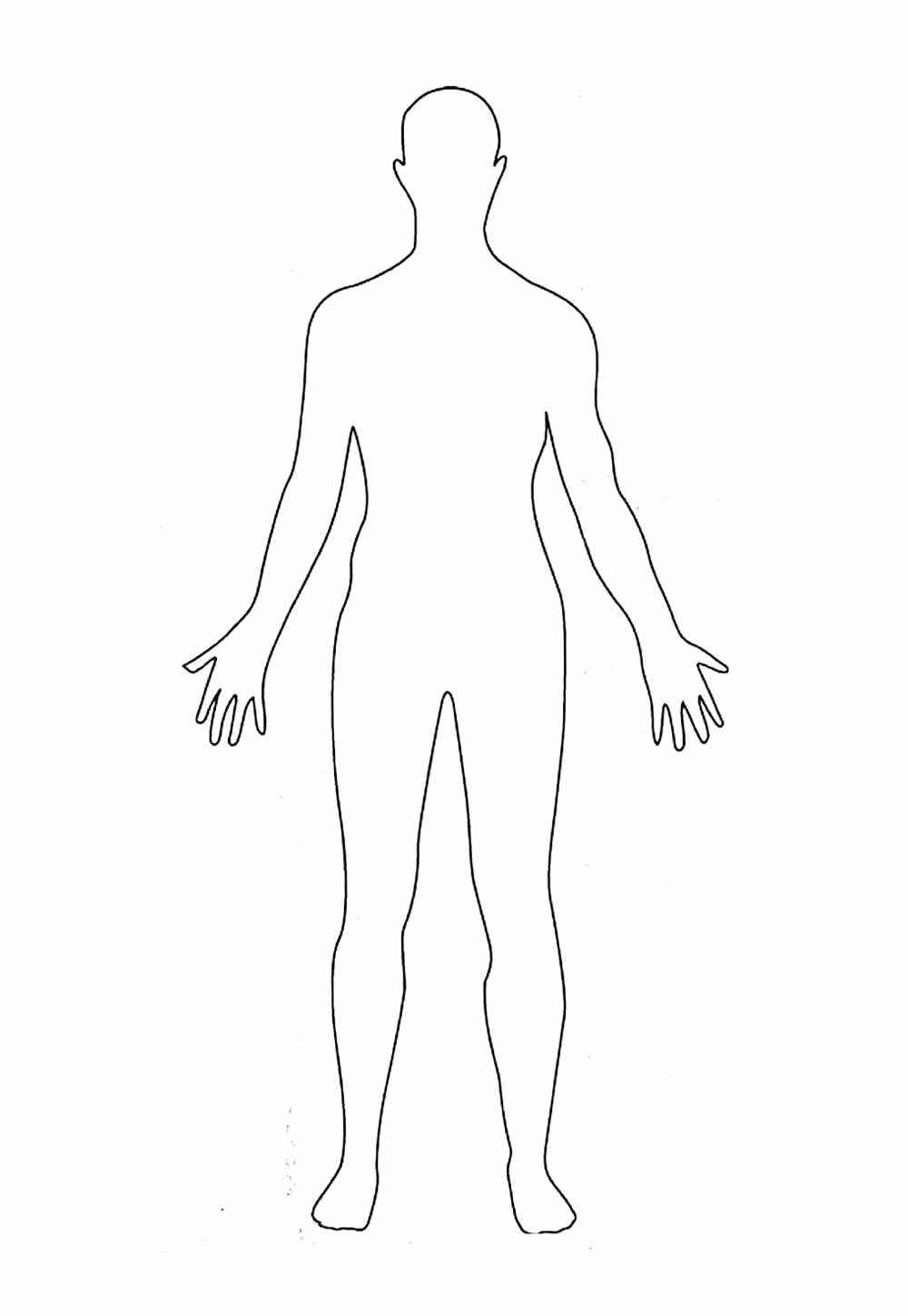 Menschlicher Körper Ausmalbilder 625