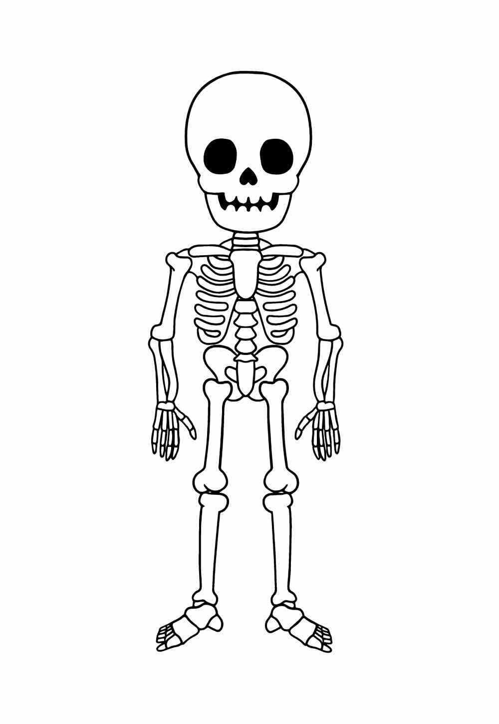 Menschlicher Körper Ausmalbilder 685