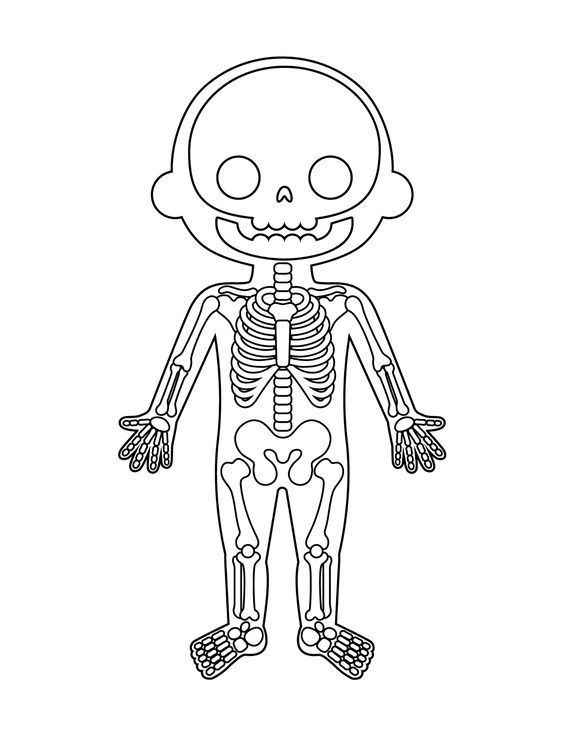 Menschlicher Körper Ausmalbilder 825