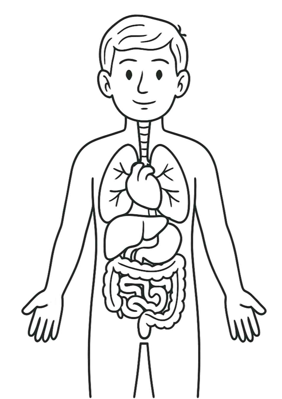 Menschlicher Körper Ausmalbilder 962