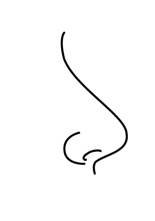 Nase Ausmalbilder 442