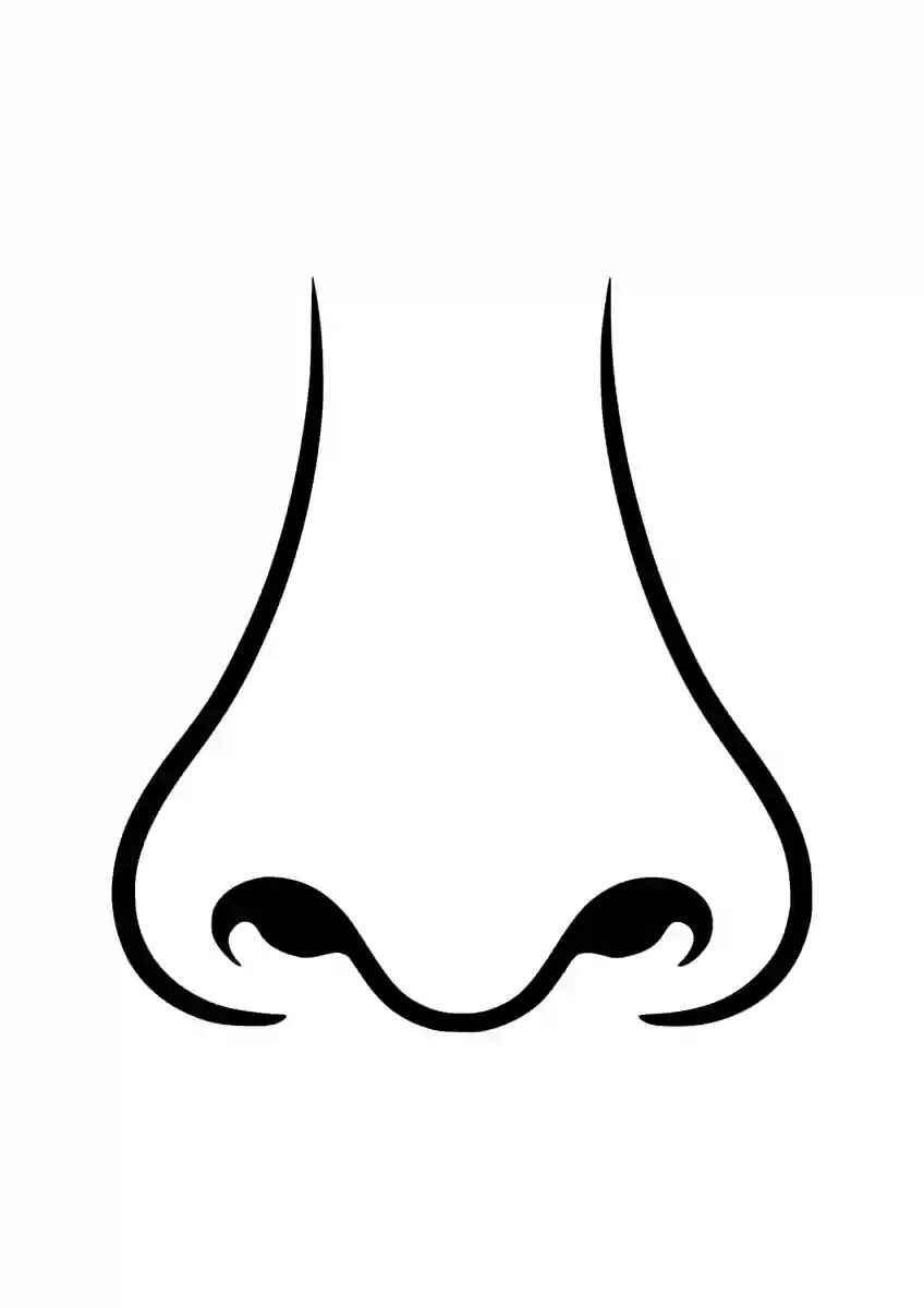 Nase Ausmalbilder 493