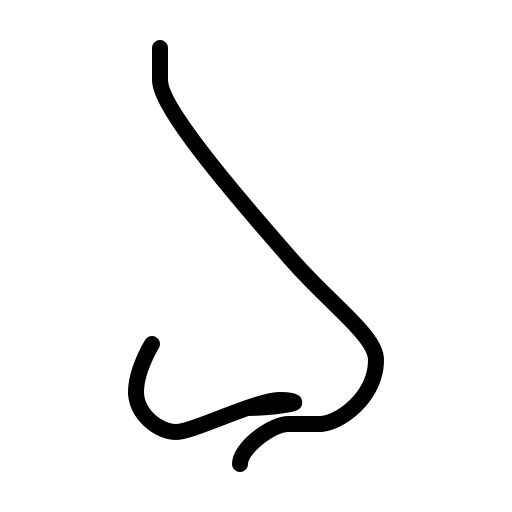 Nase Ausmalbilder 531