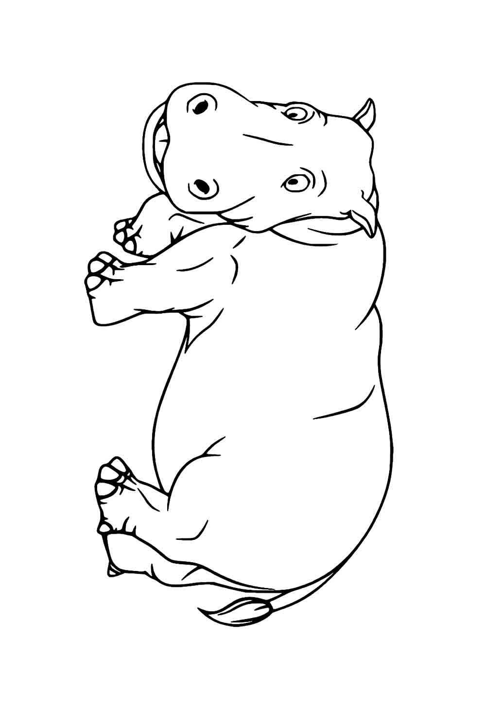 Nilpferd Ausmalbilder 084