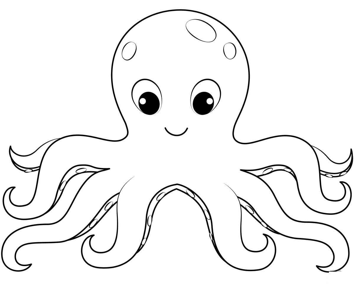 Oktopus Ausmalbilder 026