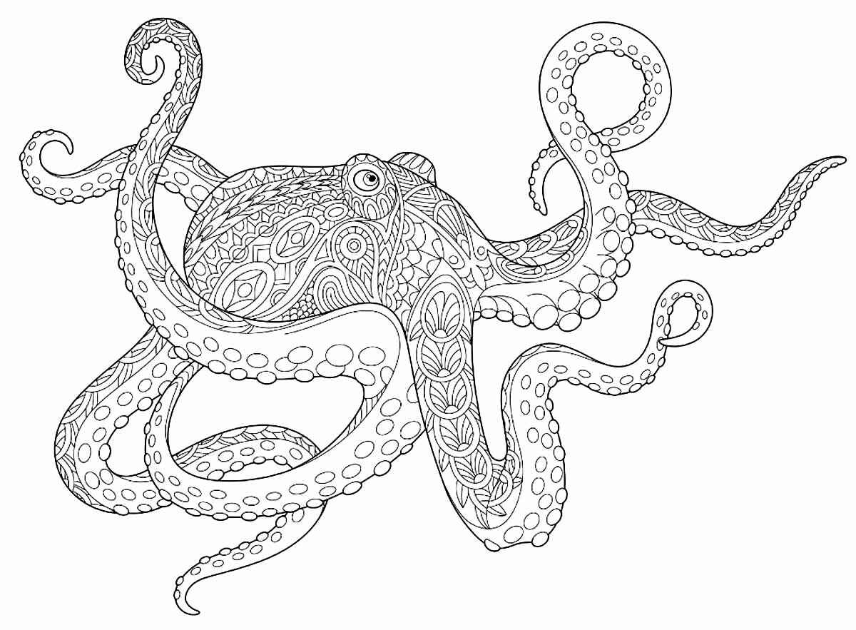 Oktopus Ausmalbilder 201