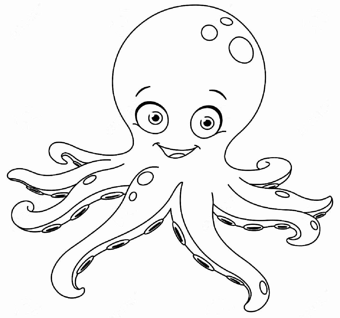 Oktopus Ausmalbilder 654