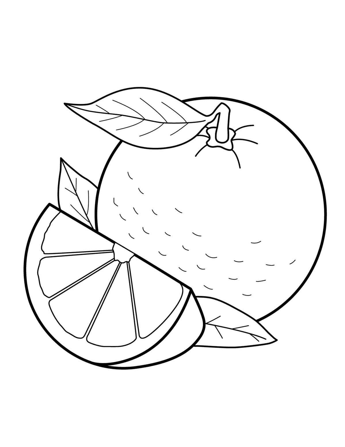 Orange Ausmalbilder 097