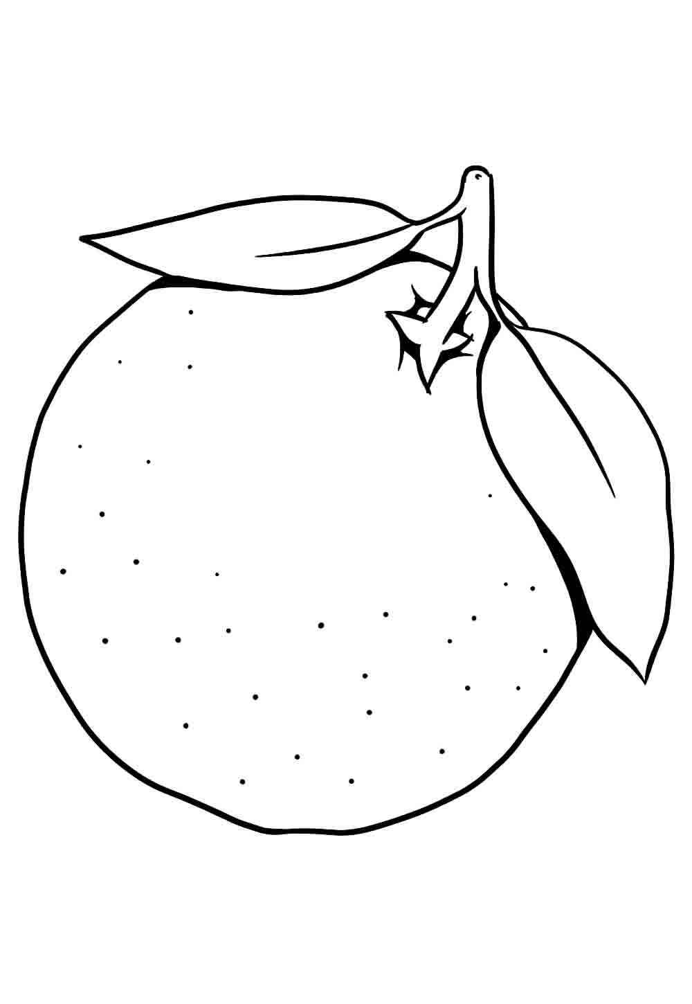 Orange Ausmalbilder 568