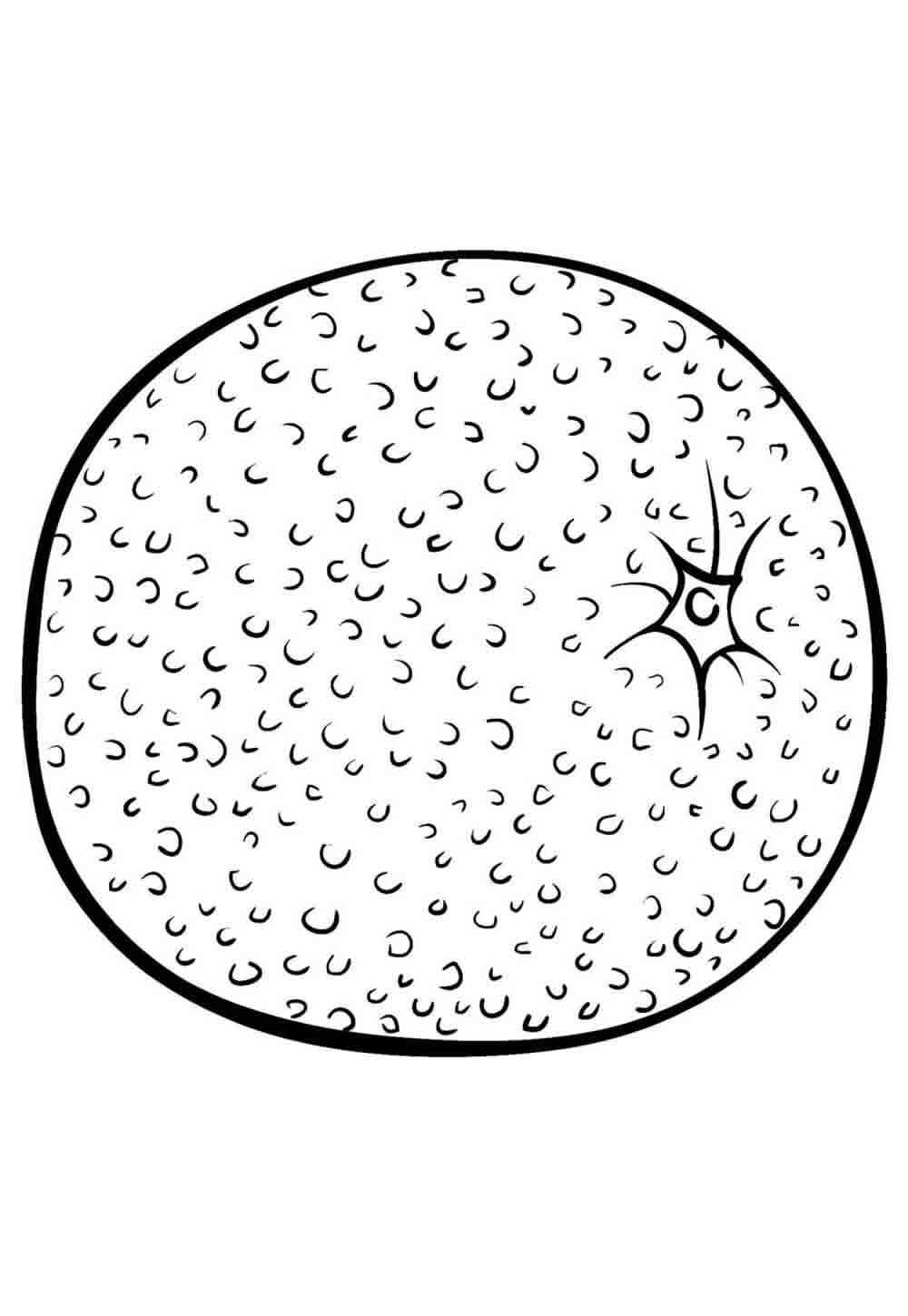 Orange Ausmalbilder 879