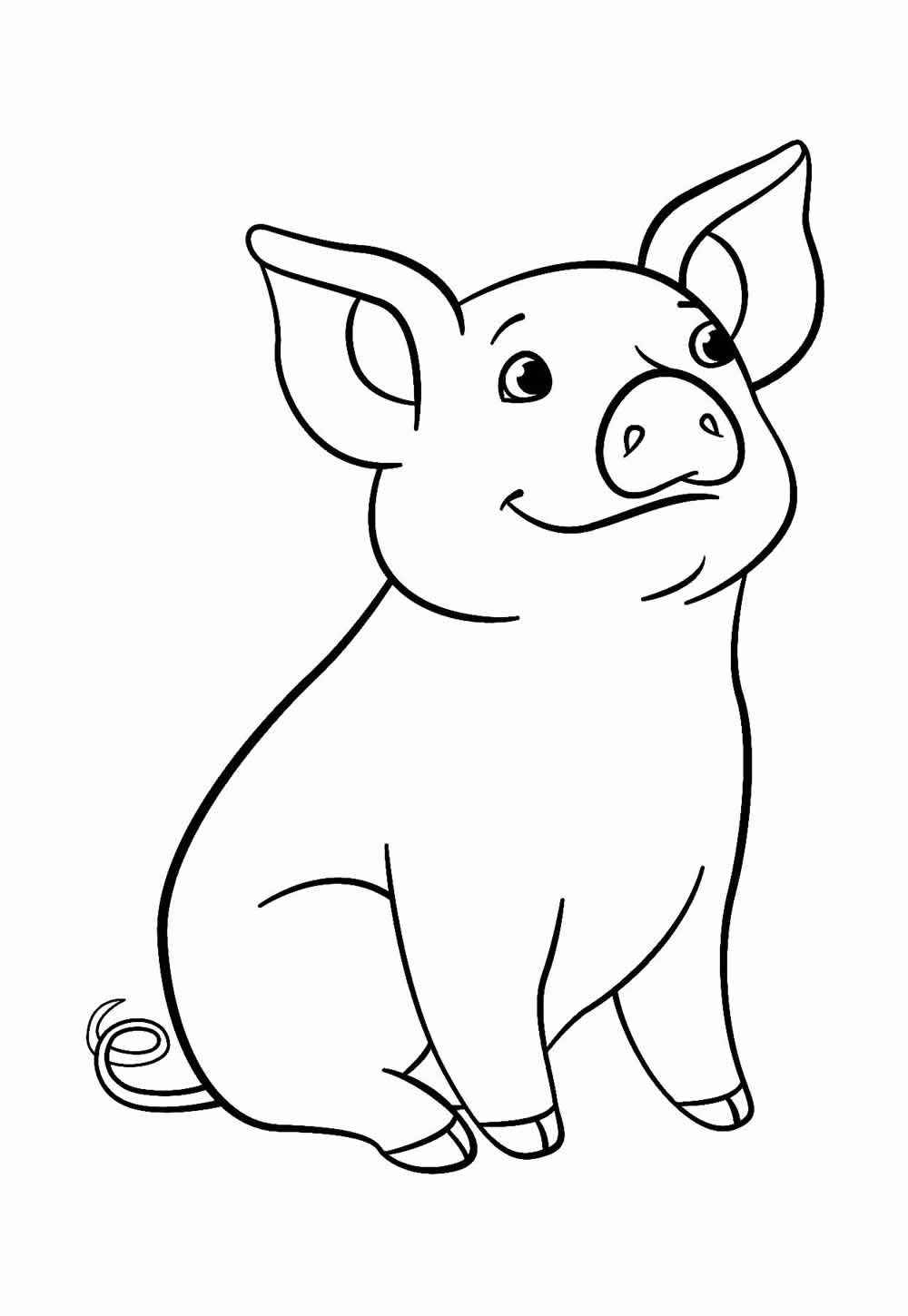 Palmenbäume Ausmalbilder 494