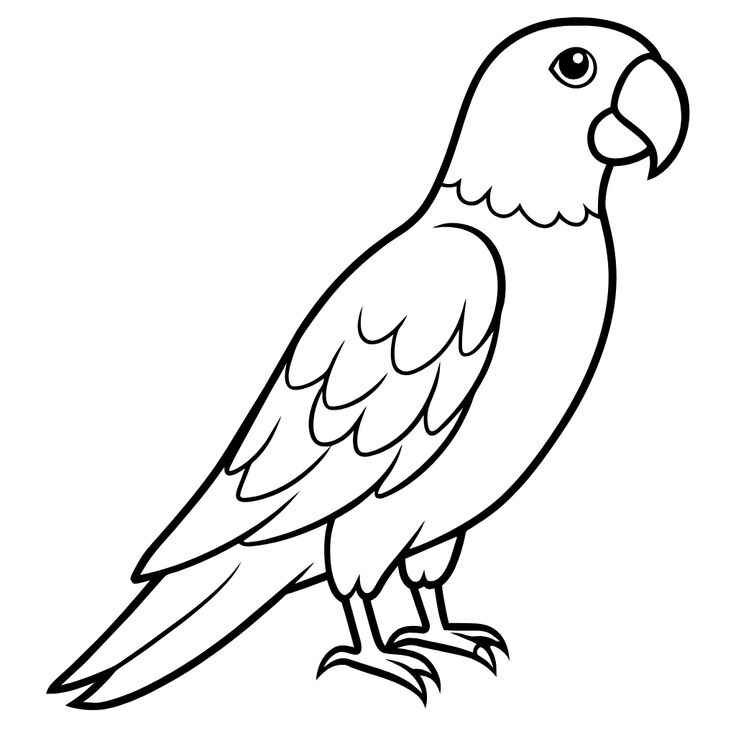 Papagei Ausmalbilder 052