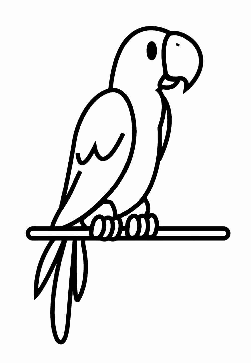 Papagei Ausmalbilder 884