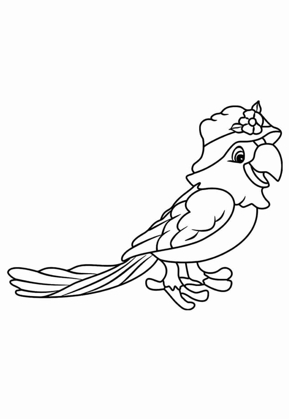 Papagei Ausmalbilder 892