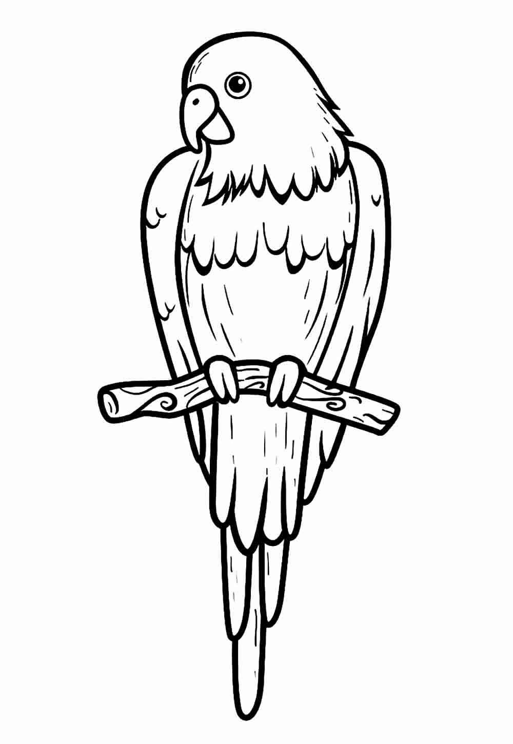 Papagei Ausmalbilder 920