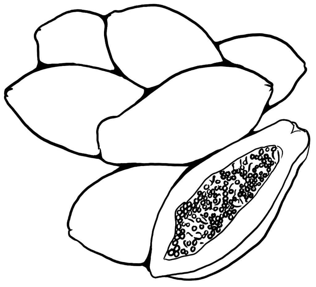 Papaya Ausmalbilder 306