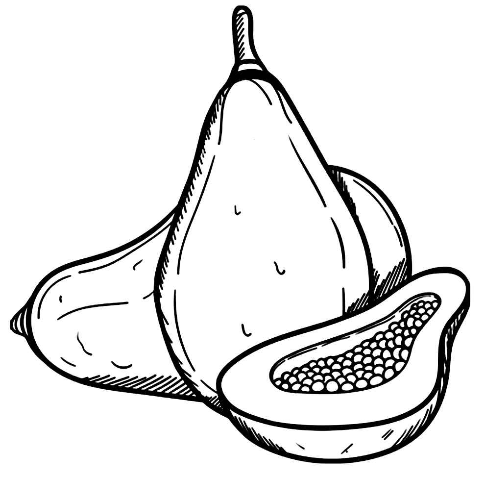 Papaya Ausmalbilder 347