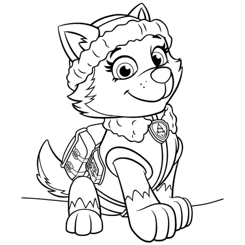 Paw Patrol Ausmalbilder 149